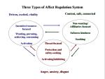 Affect-regulation-systems