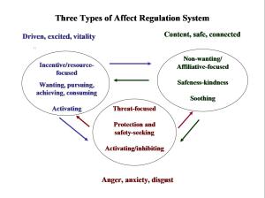 Affect-regulation-systems